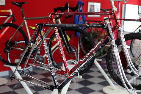 tommasini bicycle insurance